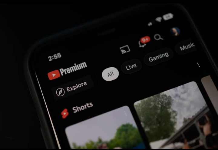 YouTube Premium Adds Jump Ahead and Picture-in-Picture for Shorts 1 Screenshot 20240628 0106482