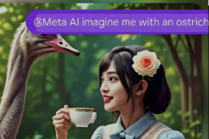 Screenshot 20240724 1039172