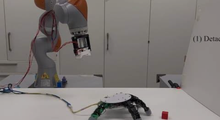Detachable Robot Hand Crawls to Objects and Grabs Them: Breakthrough in Robotics Technology 1 Screenshot 20240928 2018462
