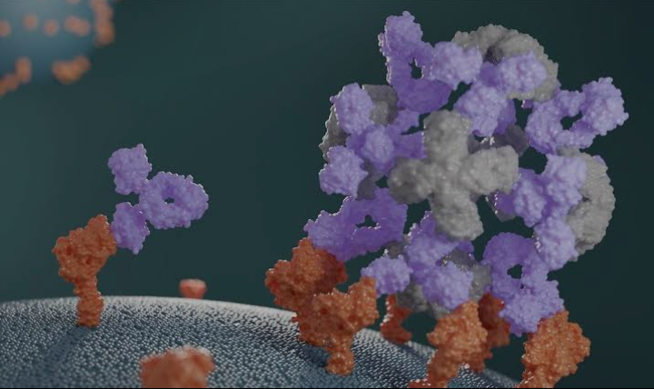 Archon Biosciences: A New Era of Antibody Therapeutics 1 Screenshot 20241030 2226462