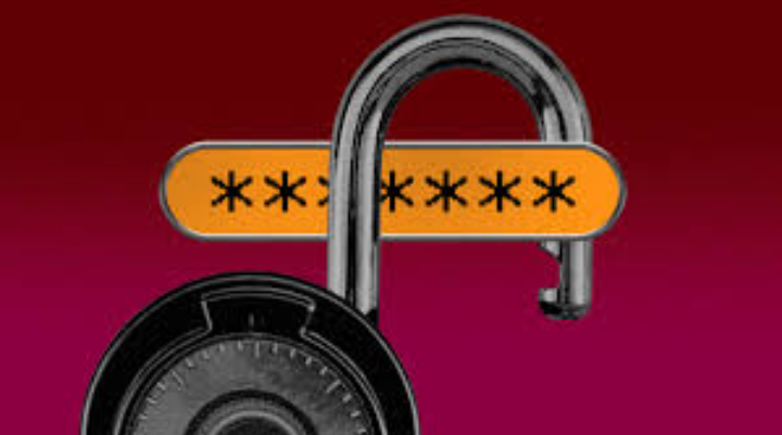Upgrade Your Digital Security and Stop Using Weak Passwords: 1 Screenshot 20241113 2329262