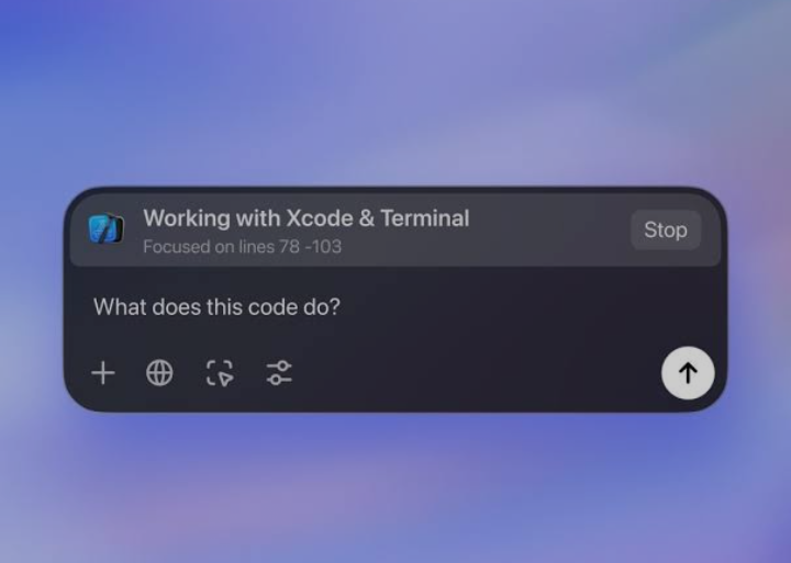 ChatGPT Can Now Read Some of Your Mac’s Desktop Apps 1 Screenshot 20241114 2212572
