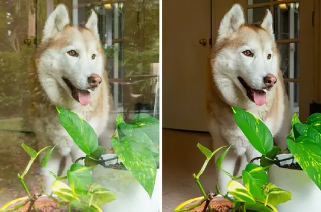 Adobe's Magic Wand: A New Tool to Banish Window Reflections 1 Screenshot 20241213 2224112