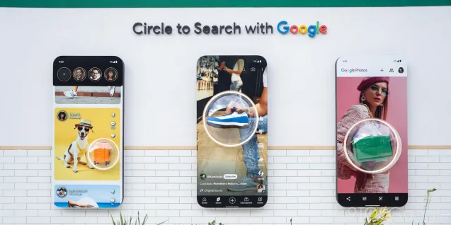 Circle to Search: Embracing Google's Colors for a Unified Search Experience 1 Screenshot 20241217 1038222