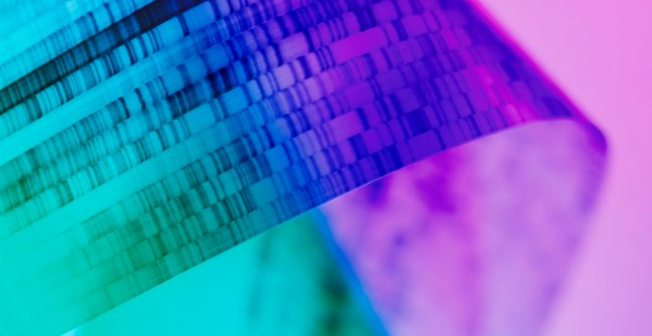 Juniper Ventures: Cultivating Climate Solutions Through Synthetic Biology 1 Screenshot 20241223 2238332