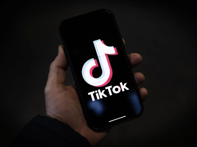 TikTok's Fate Hangs in the Balance: Creators Brace for Impact 1 Screenshot 20250101 2132442
