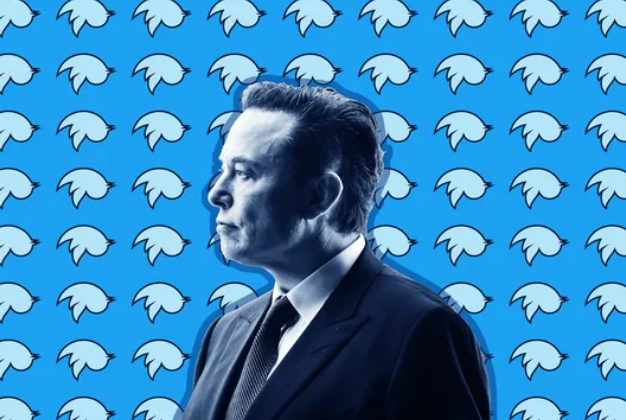 Elon Musk Faces SEC Lawsuit Over Delayed Twitter Stock Disclosure 1 Screenshot 20250115 2055132