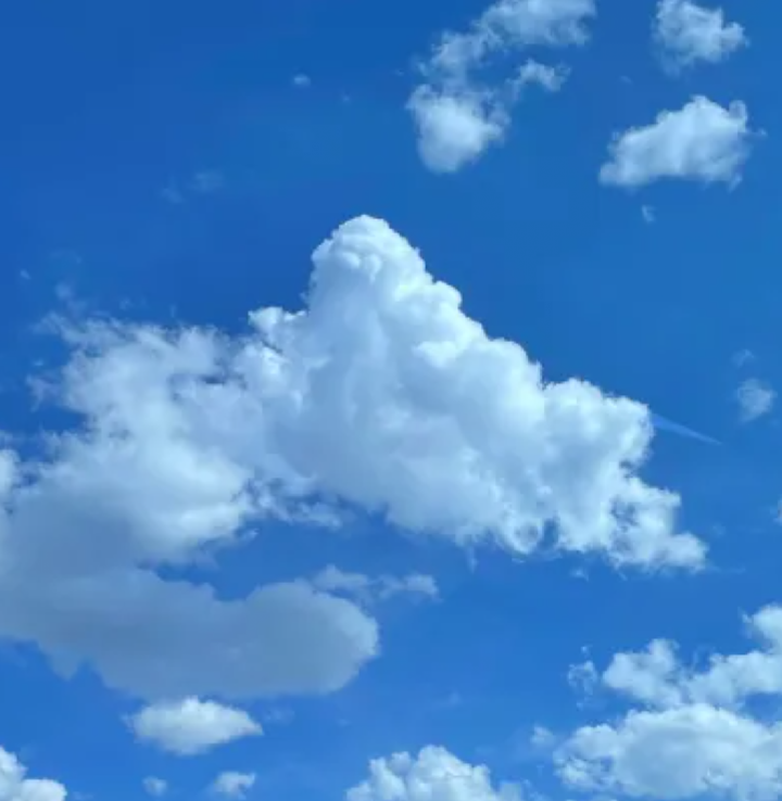 Bluesky's New Photo-Sharing App, Flashes, Aims to Challenge Instagram 1 Screenshot 20250115 2132022