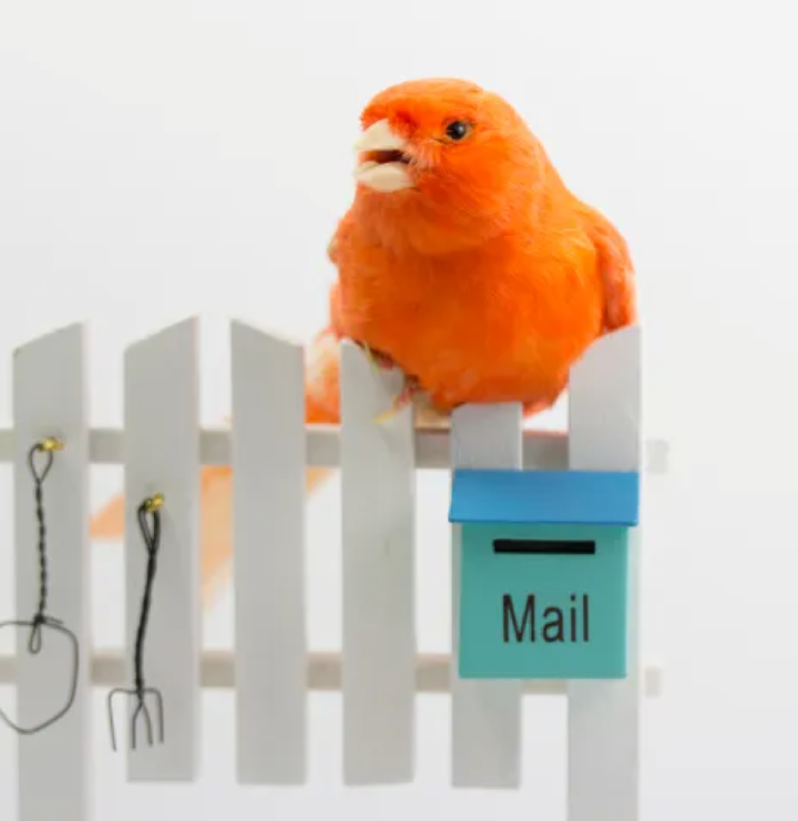 Postman Launches AI Agent Builder, Democratizing AI Development for All 1 Screenshot 20250122 1810262