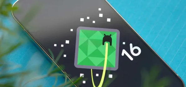 Android 16 Beta 1 Feedback Survey Live: A Deep Dive into Google's Latest OS 1 Screenshot 20250128 1901382