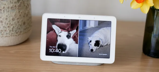 Google Photos API Changes: Third-Party Photo Frame Support Explained 1 Screenshot 20250306 1900262