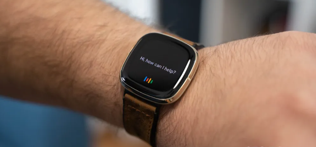 Google Assistant Shutting Down on Fitbit Smartwatches 1 Screenshot 20250416 2334162