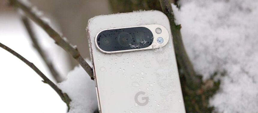 Pixel 9 Pro Camera Closeup2