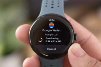 Pixel Watch 3 Google Wallet2
