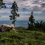blogger image d4JXV2rOHA