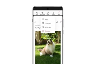 Open Canvas phone