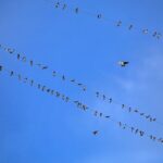 blogger image MX7uf3YerJ