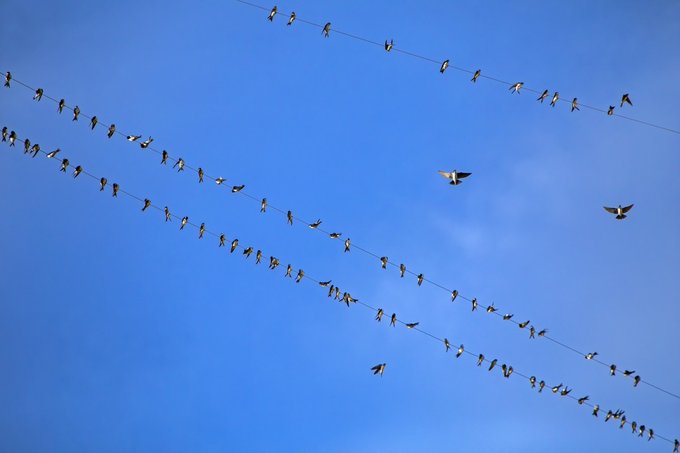 AT Protocol Social Apps: What’s Beyond Bluesky in 2025 1 blogger image MX7uf3YerJ