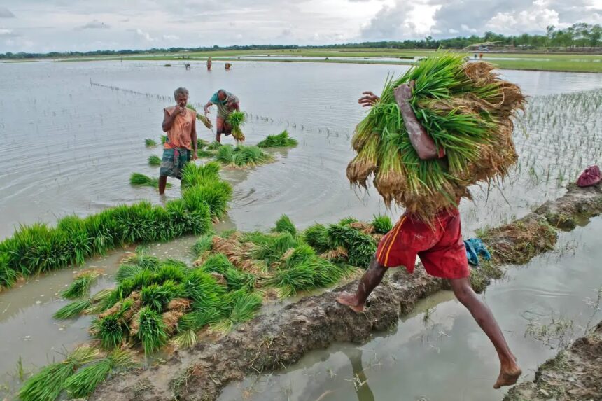 Bacteria-Based Fertilizer Alternative Could Disrupt Industrial Farming 1 blogger image jCkLEuhKdw