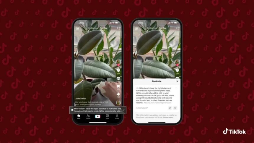 TikTok Footnotes: Your Guide to Community Fact-Checks 1 blogger image jusZHMCDSJ