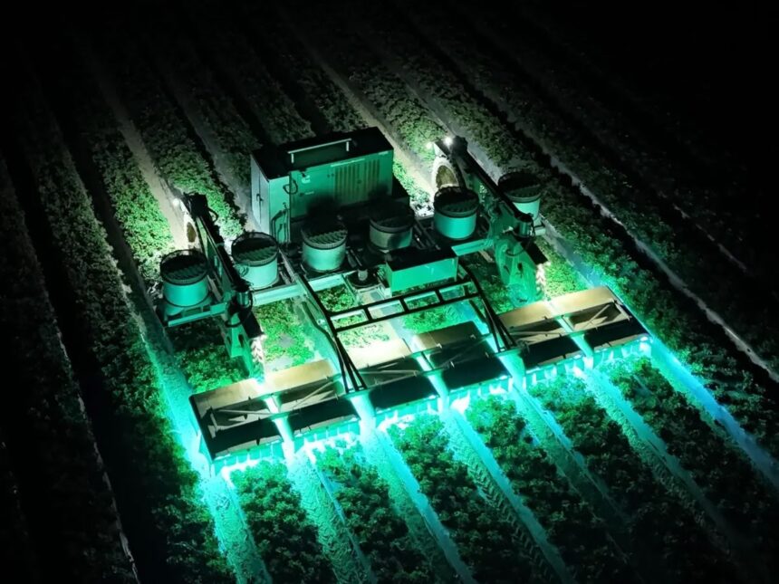 How TRIC Robotics Uses UV Light to Cut Pesticides on Strawberries 1 blogger image rVk6sAe0JI