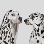 blogger image UzESjZIfHd