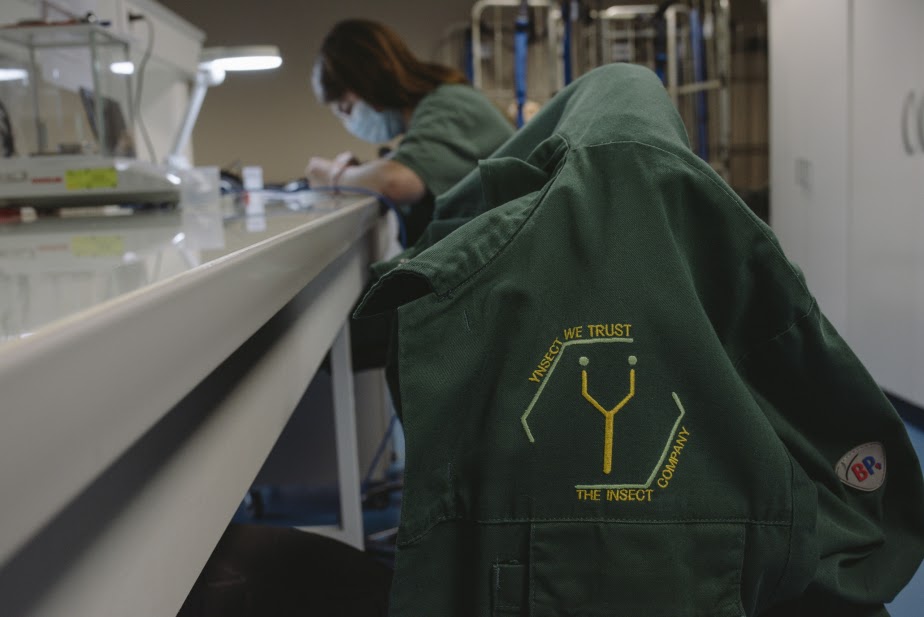 How Reality Crushed Ÿnsect, The French Startup That Had Raised Over $600M For Insect Farming 1 blogger image BrRAF3YBLE