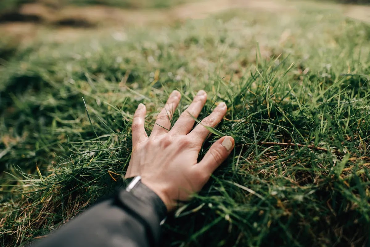 Naware’s Chemical-Free Weed Killer Tech Could Change How We Treat Lawns 1 blogger image YvtQgfaG5b