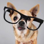 blogger image msb3VXF5T4