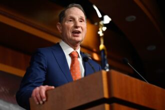 Senator Seeks Federal Hacking Tools Review by Watchdog